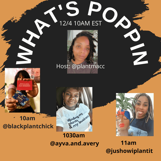 Whats Poppin - Episode 1 - The Leafy Branch