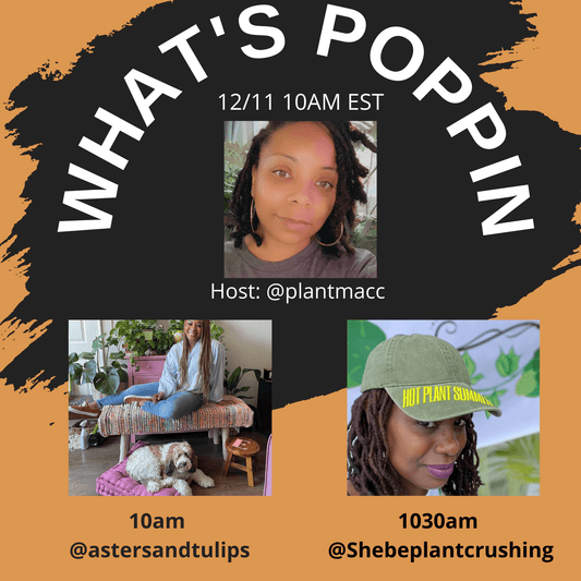What's Poppin- Episode 2 - The Leafy Branch