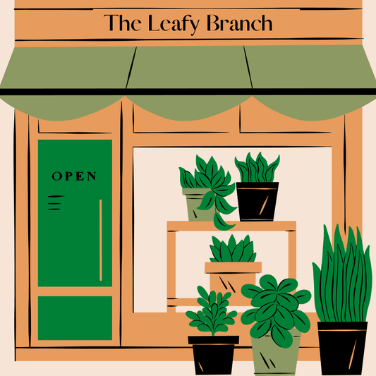 SPRING/ SUMMER POP-UPS 2022 - The Leafy Branch