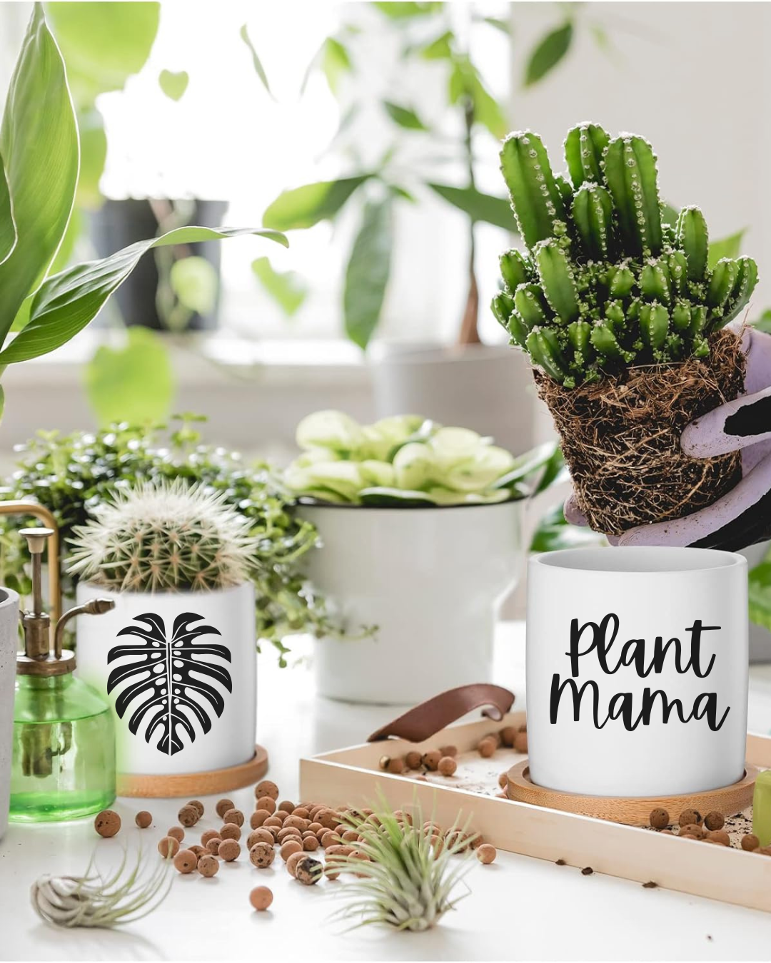 Plant Mama Ceramic 3in Pots