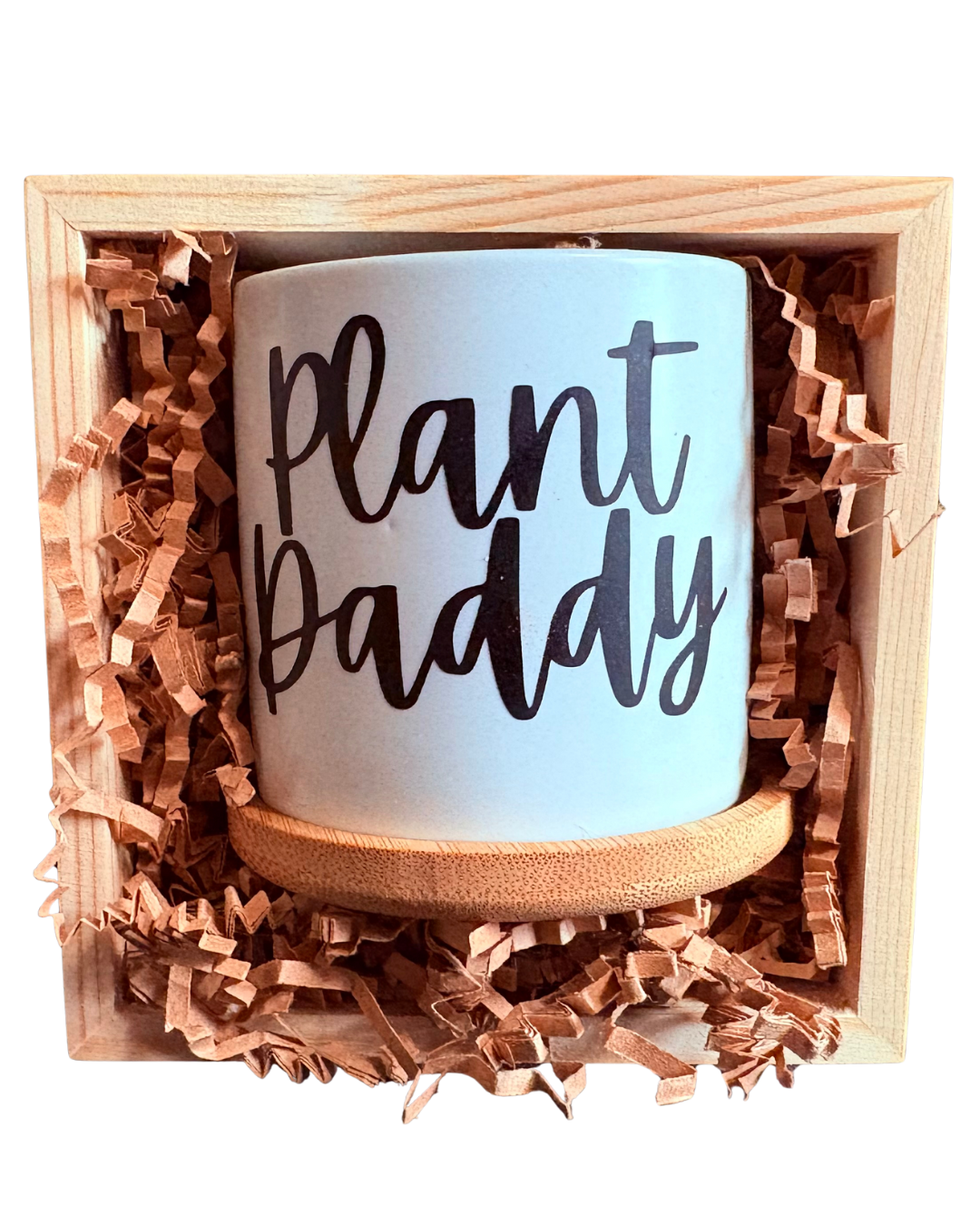 Plant Daddy Ceramic 3in Pots