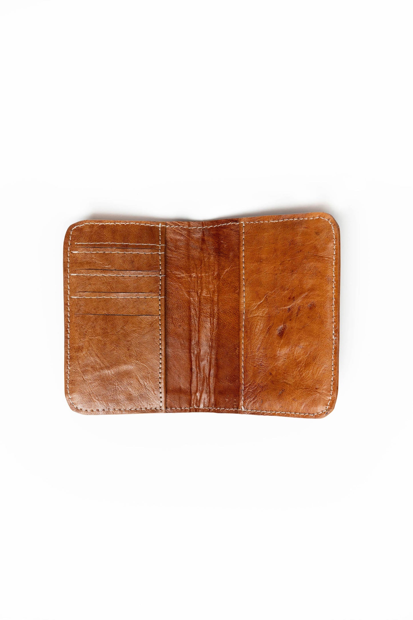 Passport Cover - The Leafy Branch
