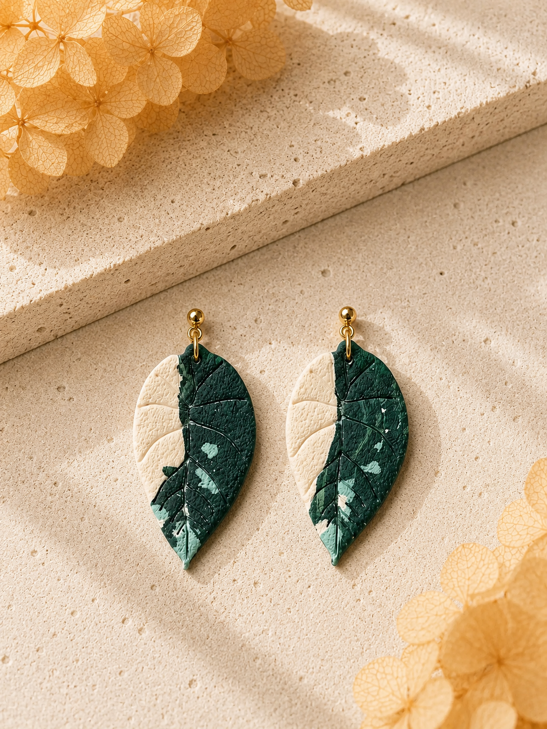 Melo Albo Alocasia