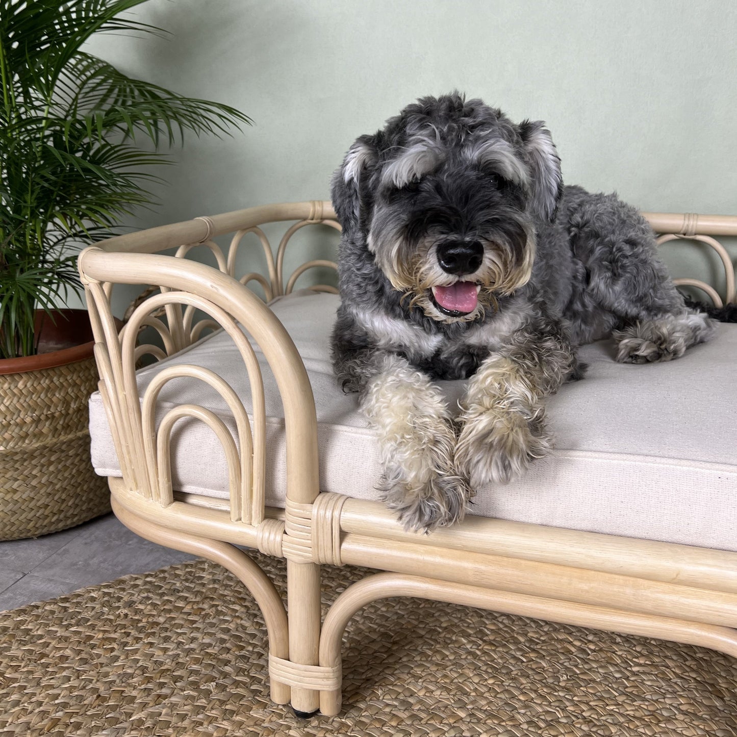 Amber Pet Bed - The Leafy Branch