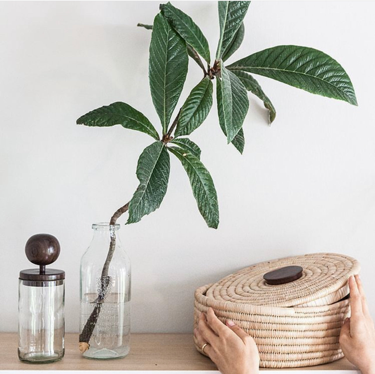 Wooden Topped Apothecary Jars - The Leafy Branch