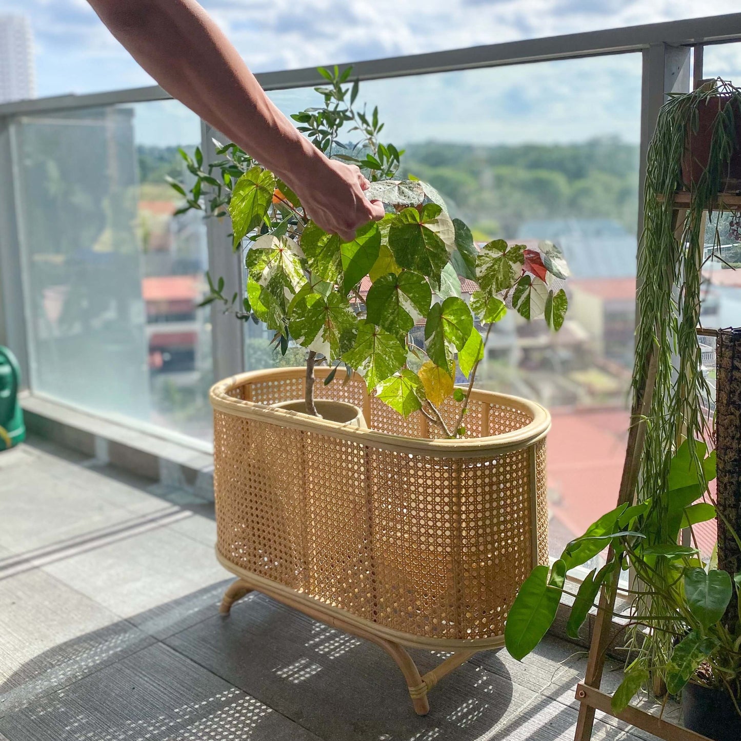 Isle Wicker Plant Stand - The Leafy Branch