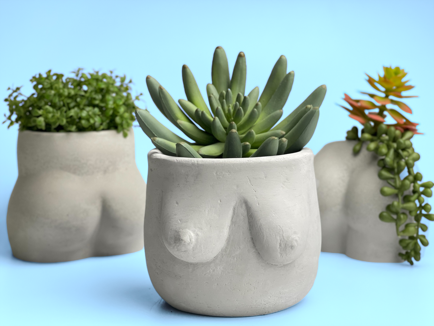 Boobs Planter | Woman Body Pot - The Leafy Branch
