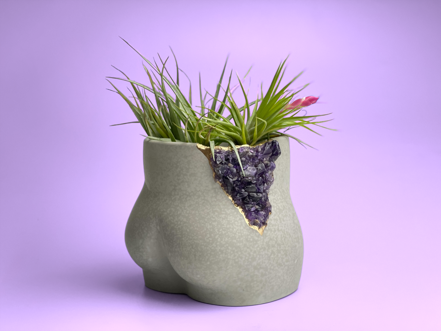 Amethyst Butt Planter - The Leafy Branch