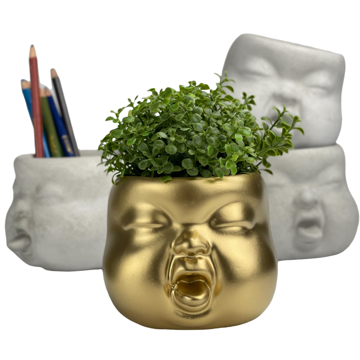 Baby Face Succulent Planter - The Leafy Branch