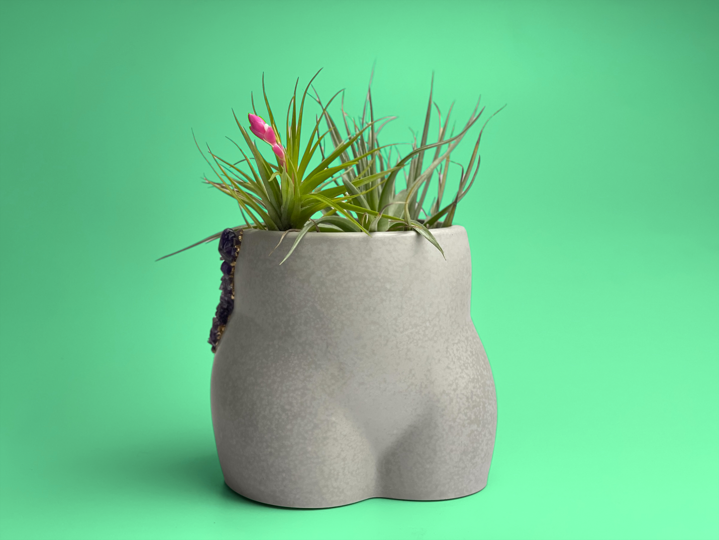 Amethyst Butt Planter - The Leafy Branch