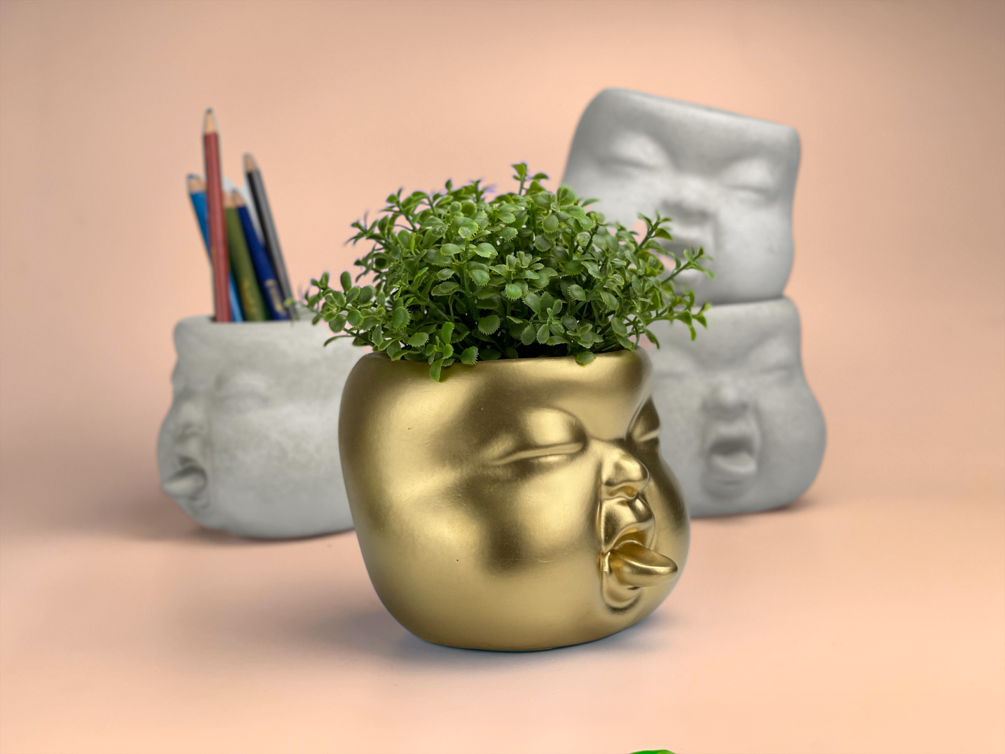 Baby Face Succulent Planter - The Leafy Branch