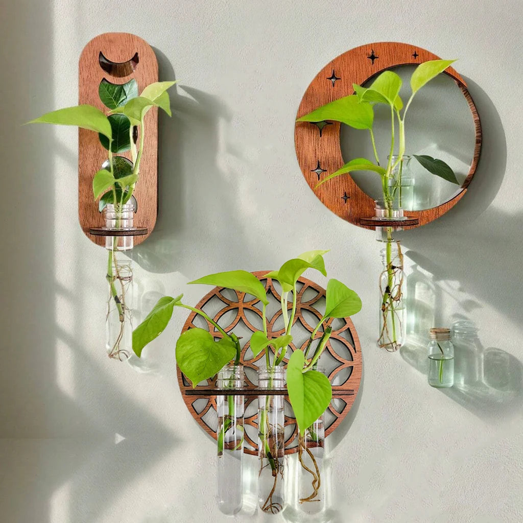 Moon Phase Propagation - The Leafy Branch