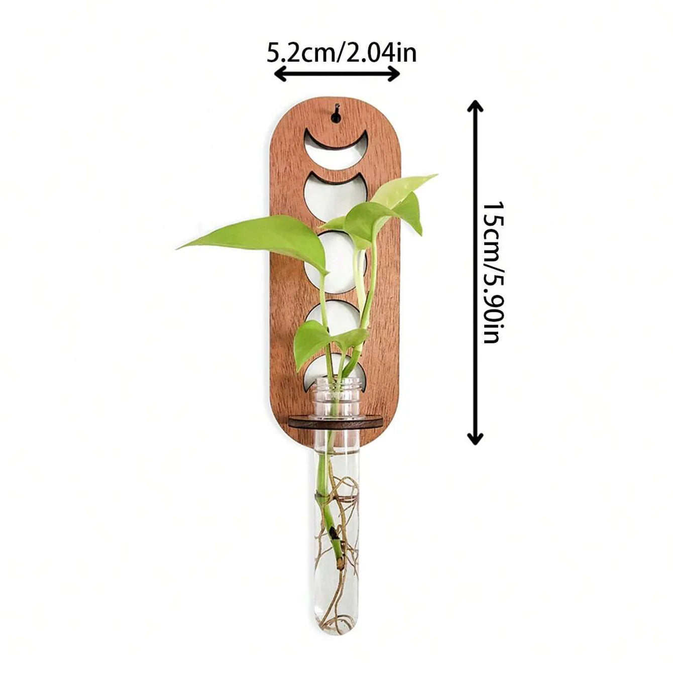 Moon Phase Propagation - The Leafy Branch