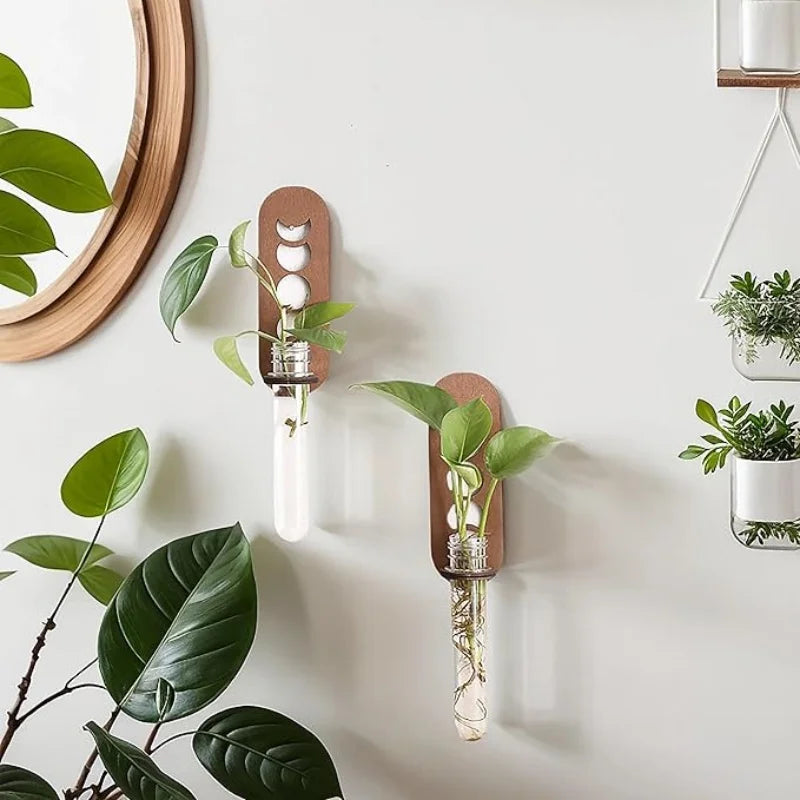Moon Phase Propagation - The Leafy Branch
