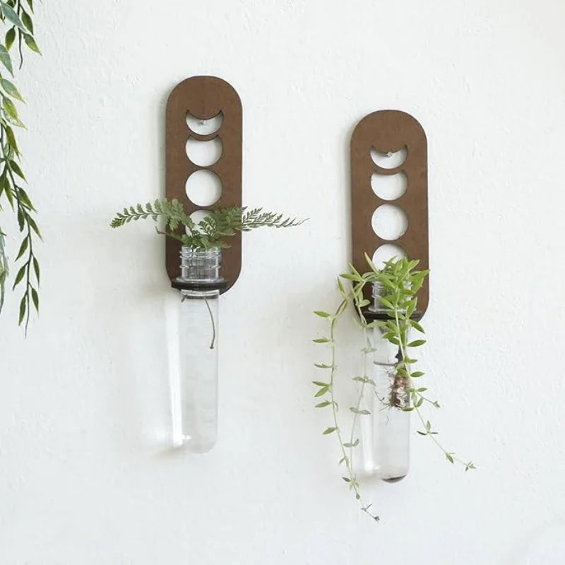 Moon Phase Propagation - The Leafy Branch