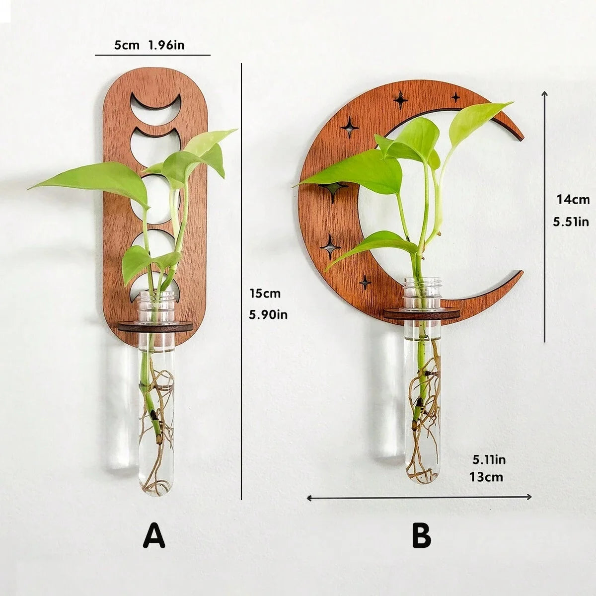 Moon Phase Propagation - The Leafy Branch