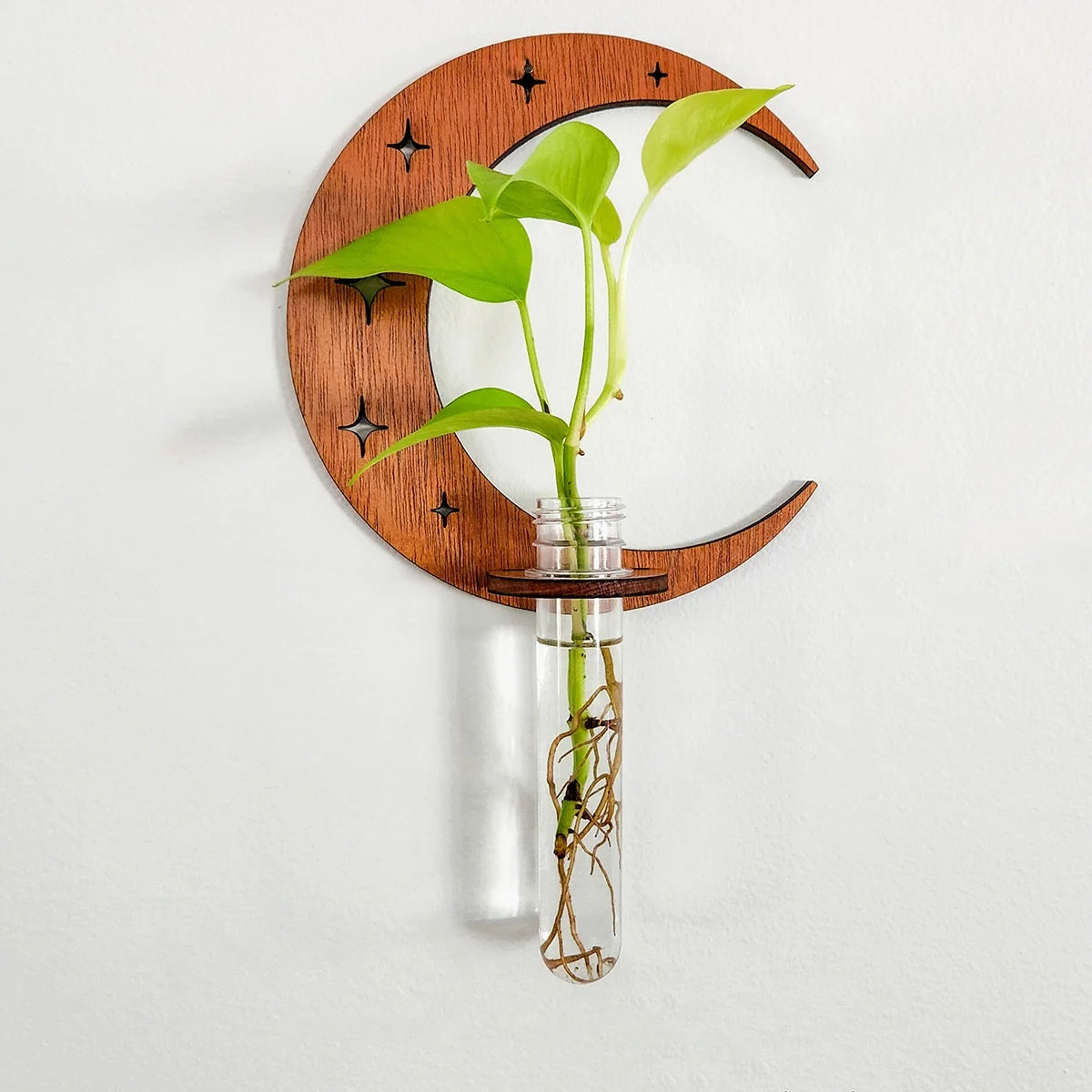 Moon Phase Propagation - The Leafy Branch