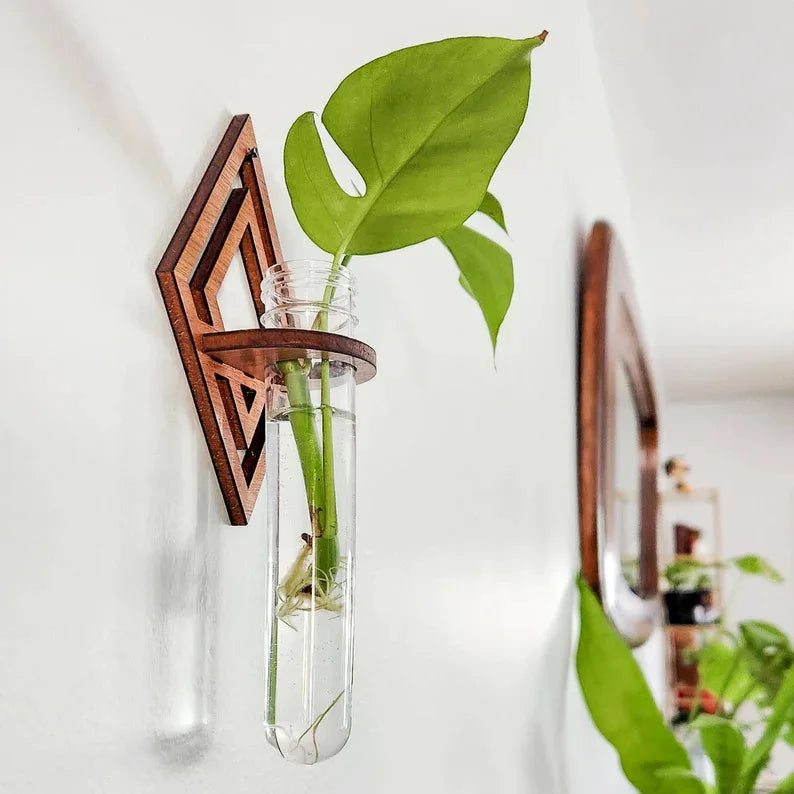 Moon Phase Propagation - The Leafy Branch