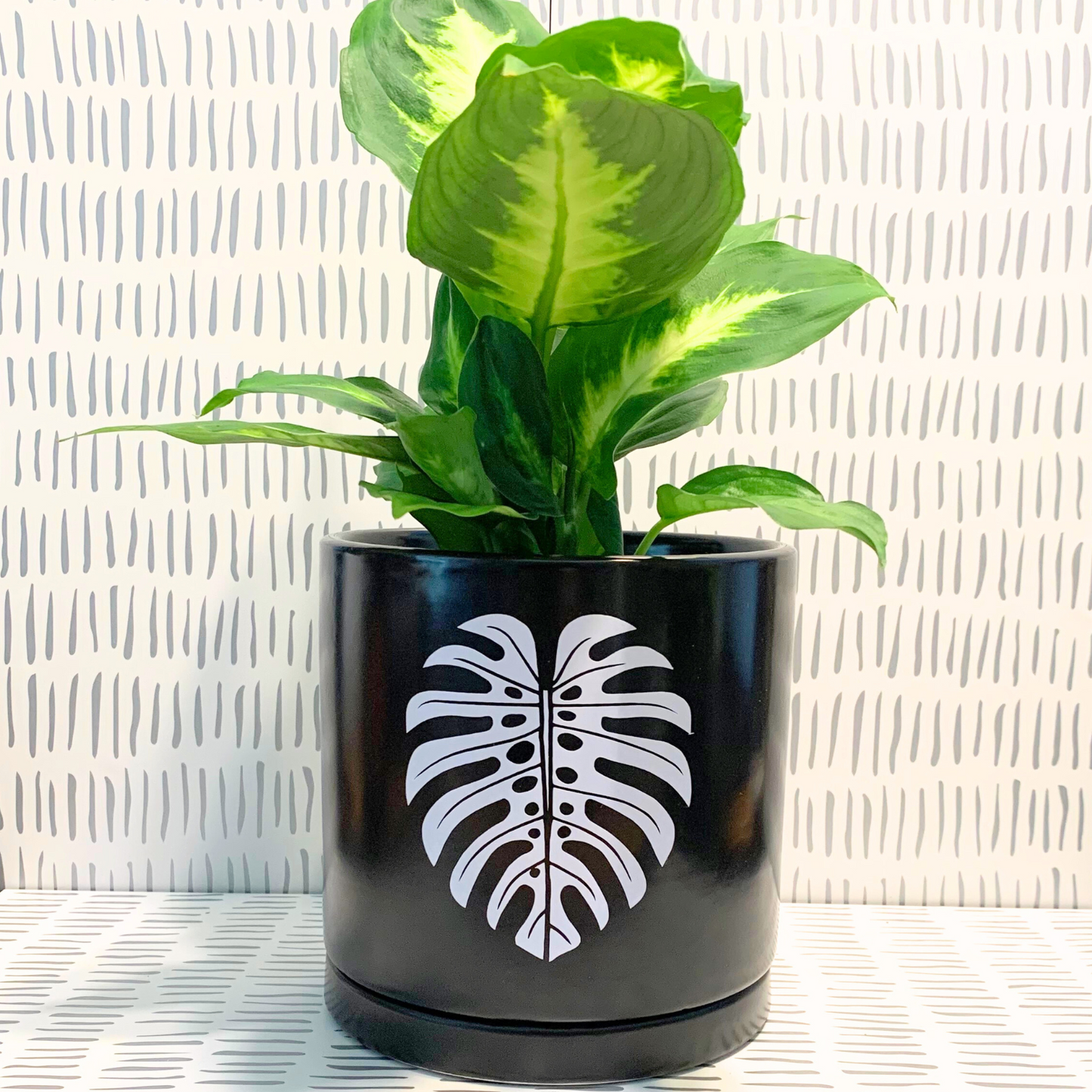 Signature Ceramic Monstera Planter- Black