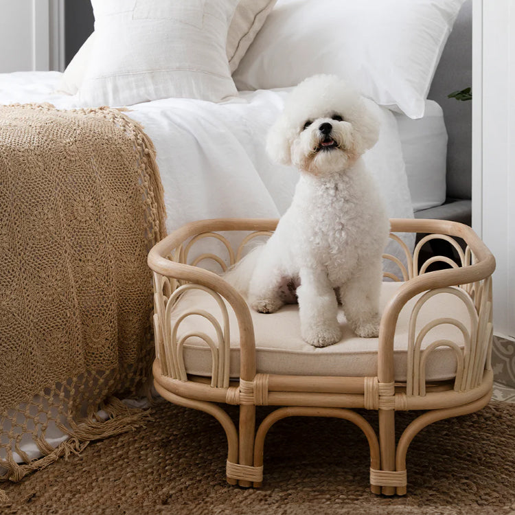 Amber Pet Bed - Small - The Leafy Branch