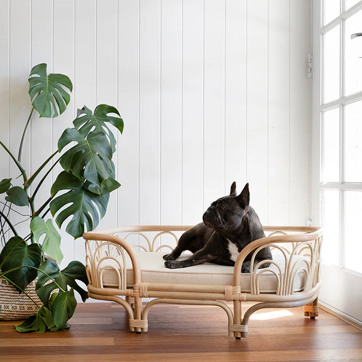 Amber Pet Bed - The Leafy Branch