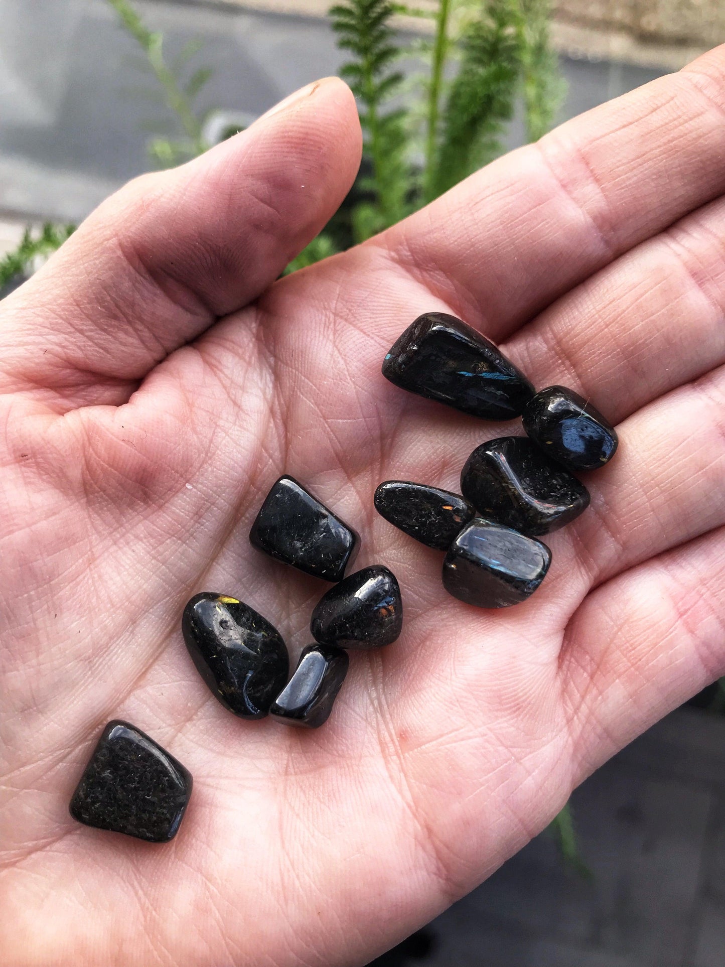 Nuummite Tumbled & Pocket Stones - The Leafy Branch