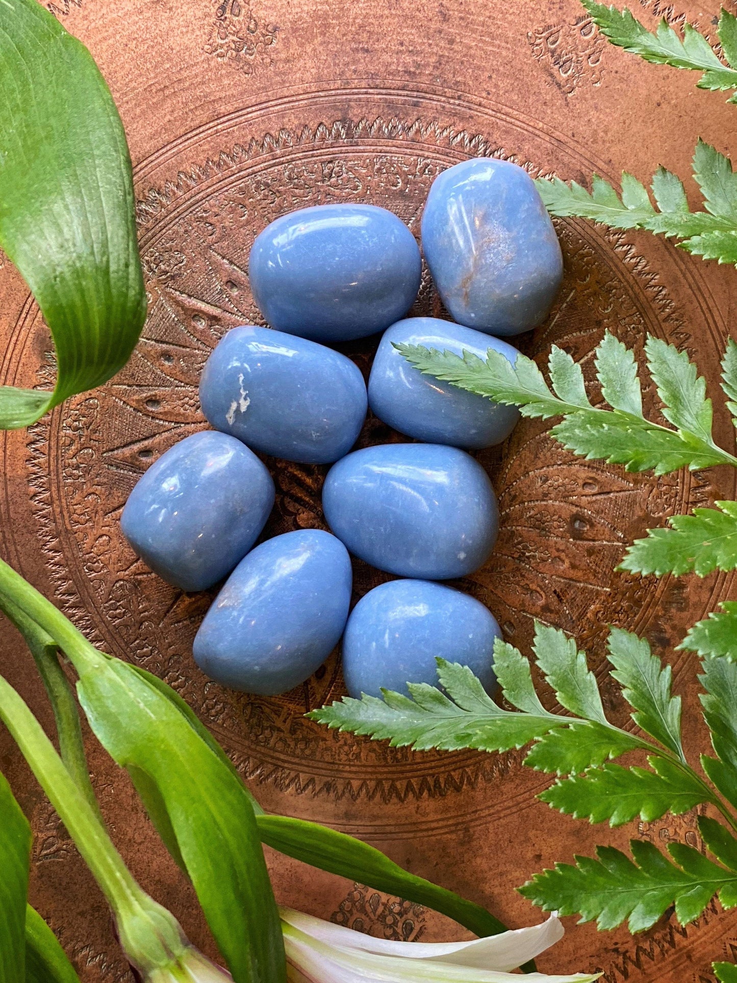 Angelite - Tumbled - The Leafy Branch