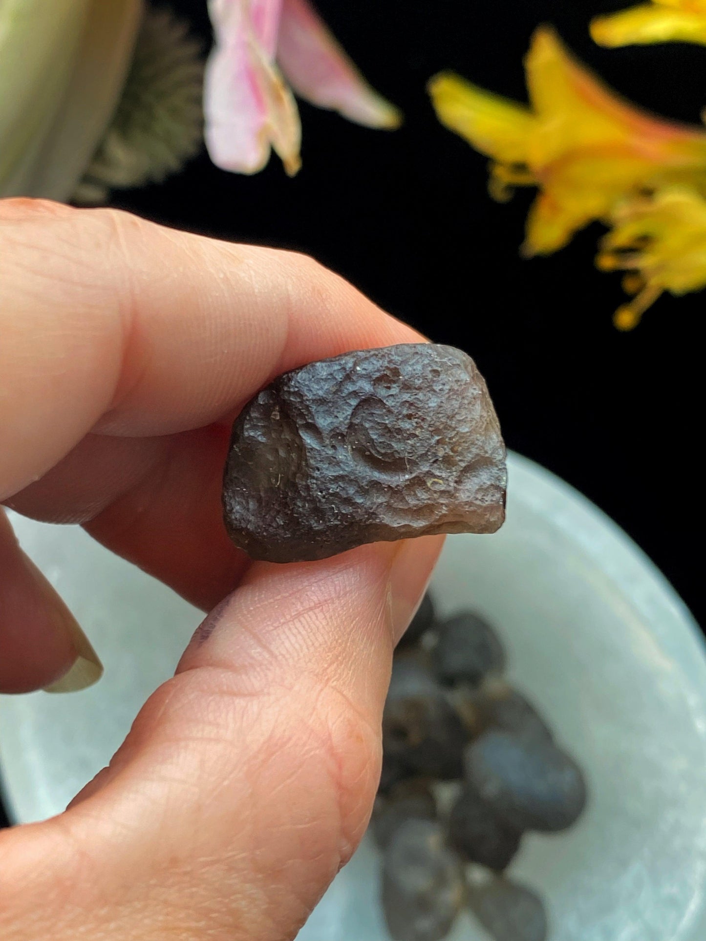 Columbianite Tektite Crystals - (Very Rare) Authentic - The Leafy Branch