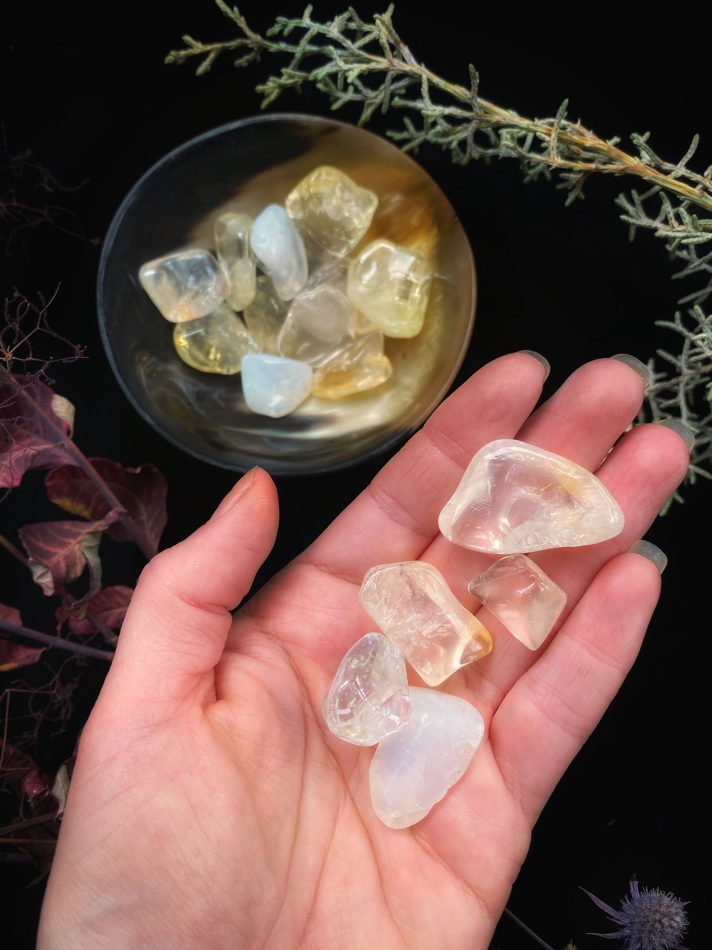 Tumbled (Natural Opalized) Citrine - Natural from Brazil (not irradiated) - The Leafy Branch