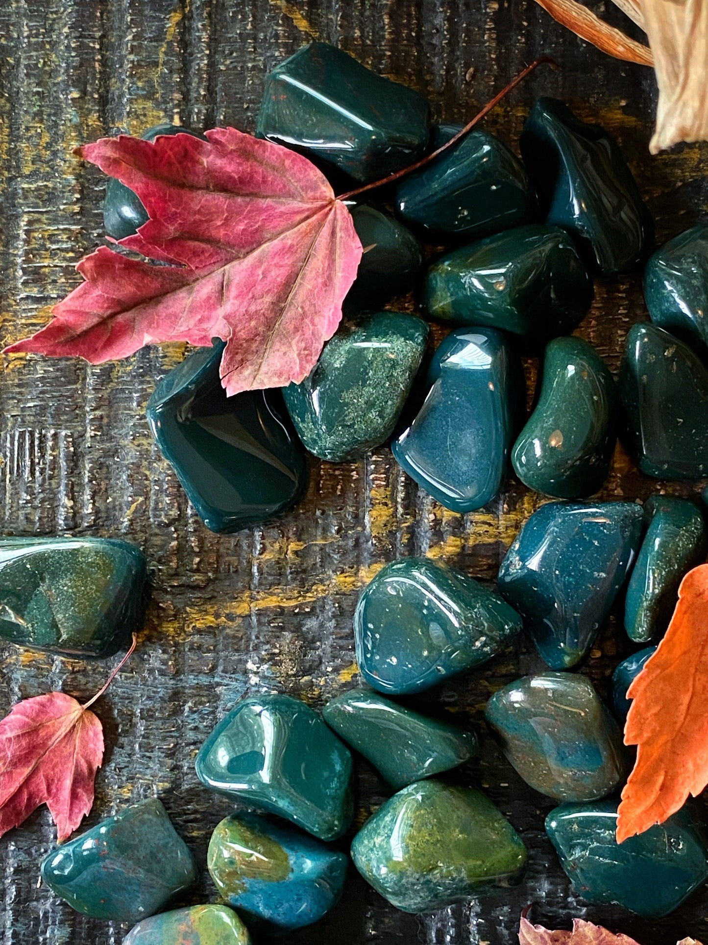 Tumbled Bloodstone - The Leafy Branch