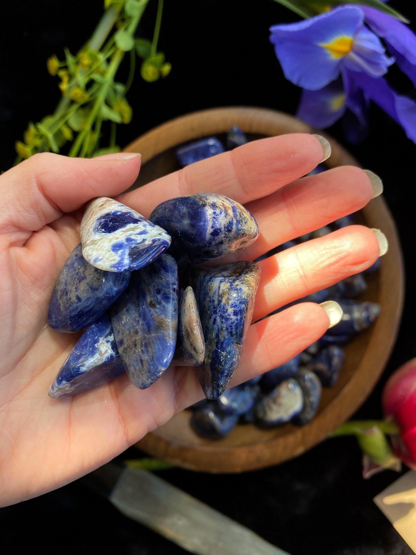 Sodalite - Tumbled - The Leafy Branch
