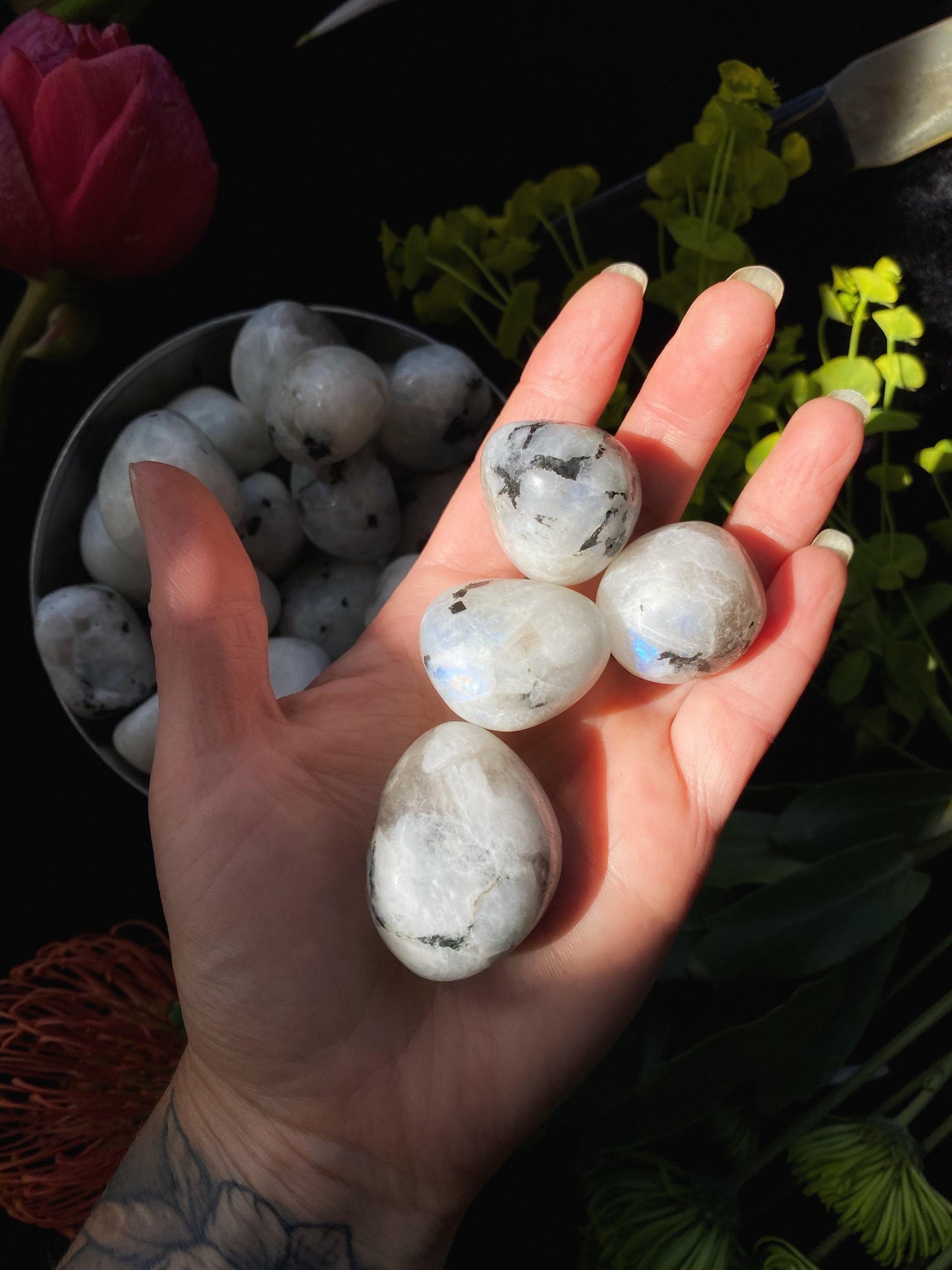 Rainbow Moonstone - Tumbled - The Leafy Branch