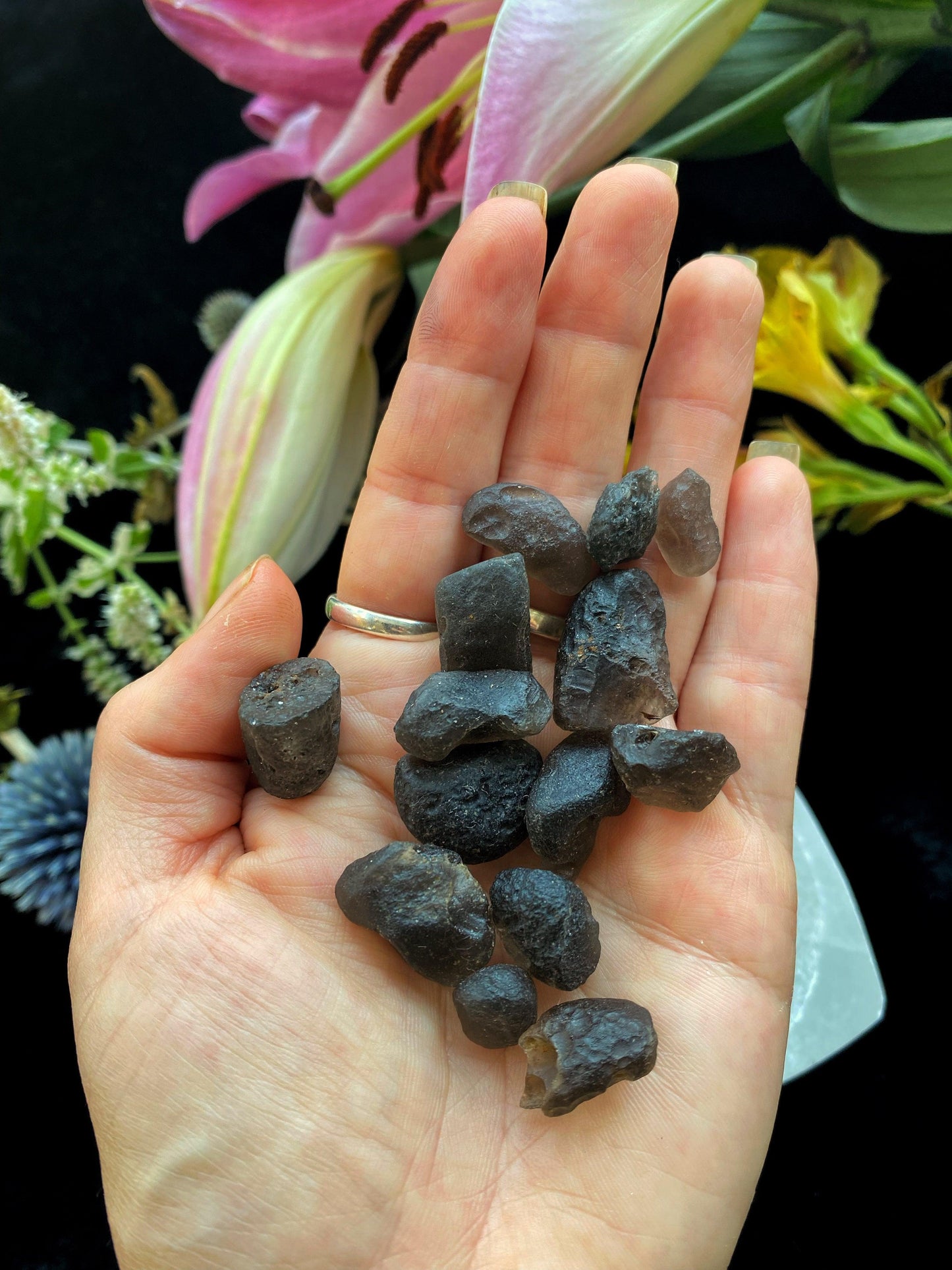Columbianite Tektite Crystals - (Very Rare) Authentic - The Leafy Branch