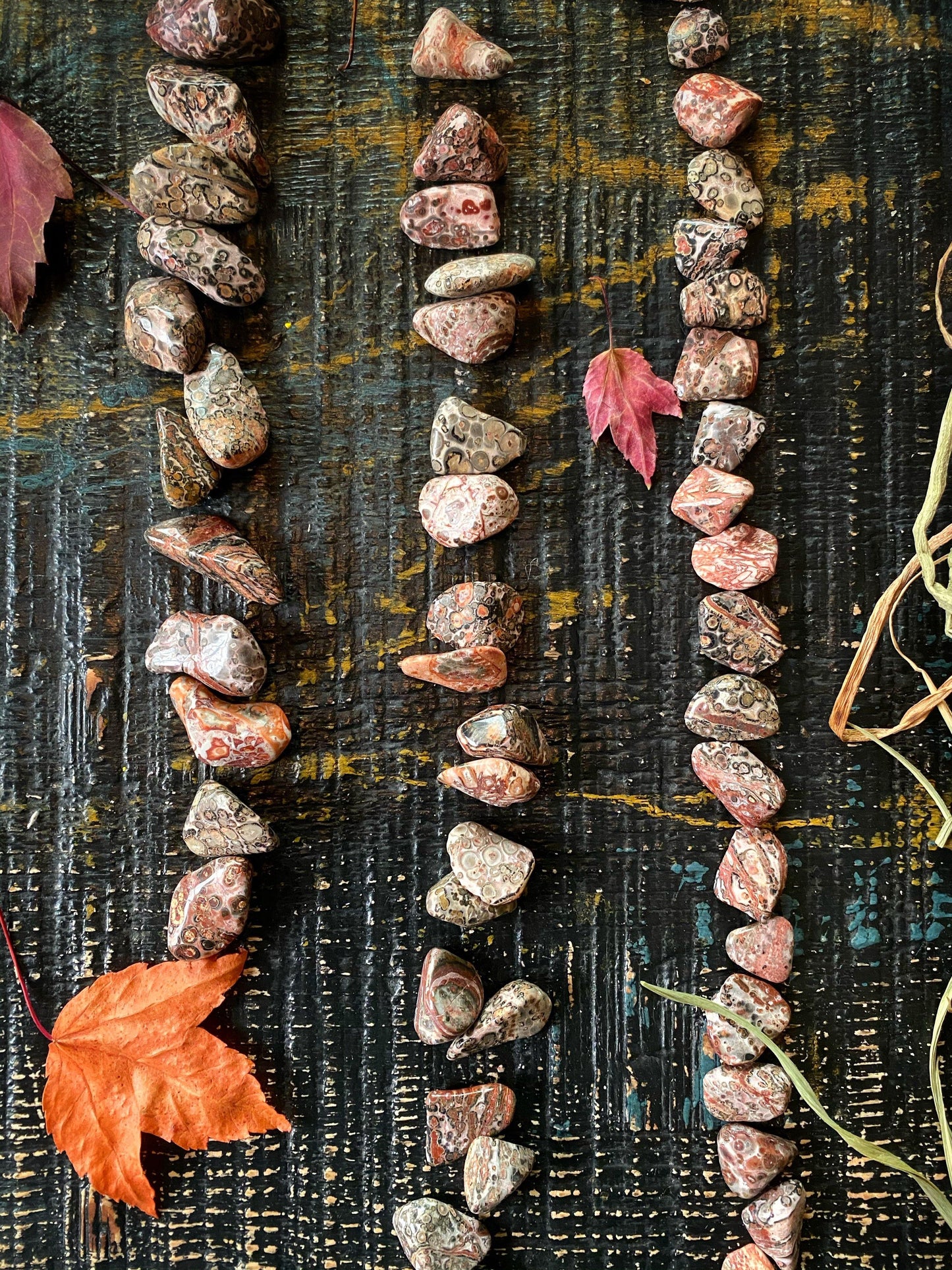 Leopard Skin Jasper - Tumbled - The Leafy Branch