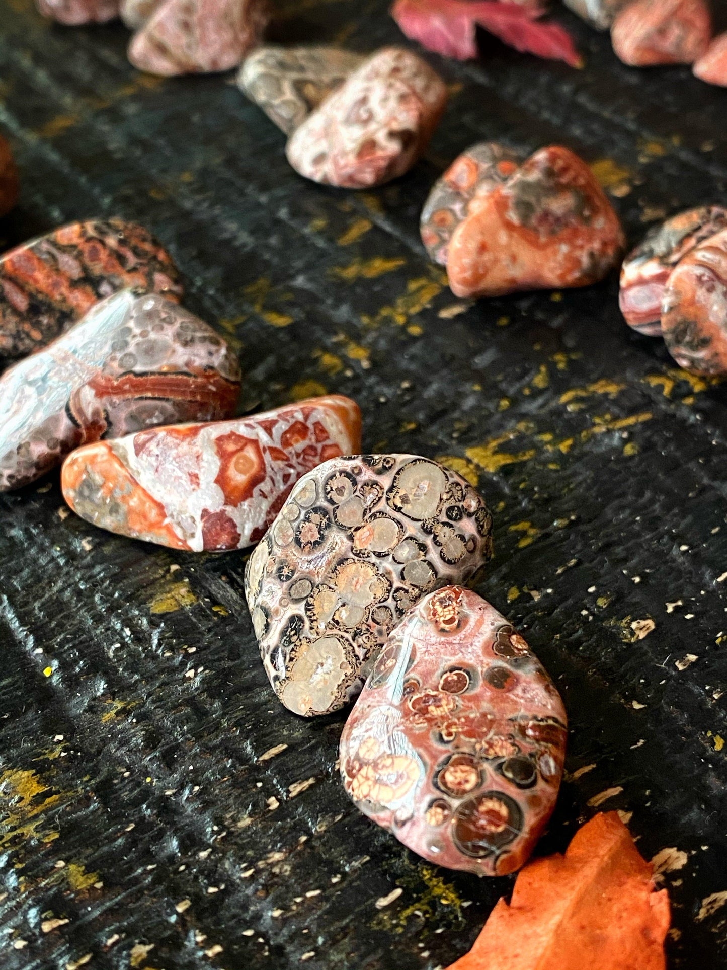 Leopard Skin Jasper - Tumbled - The Leafy Branch