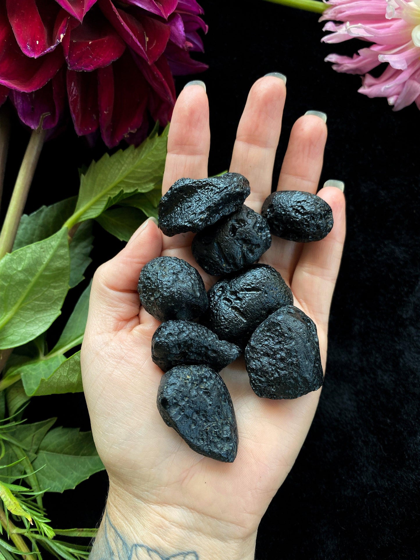 Vietnam Tektite Crystals - (Rare) Authentic - The Leafy Branch