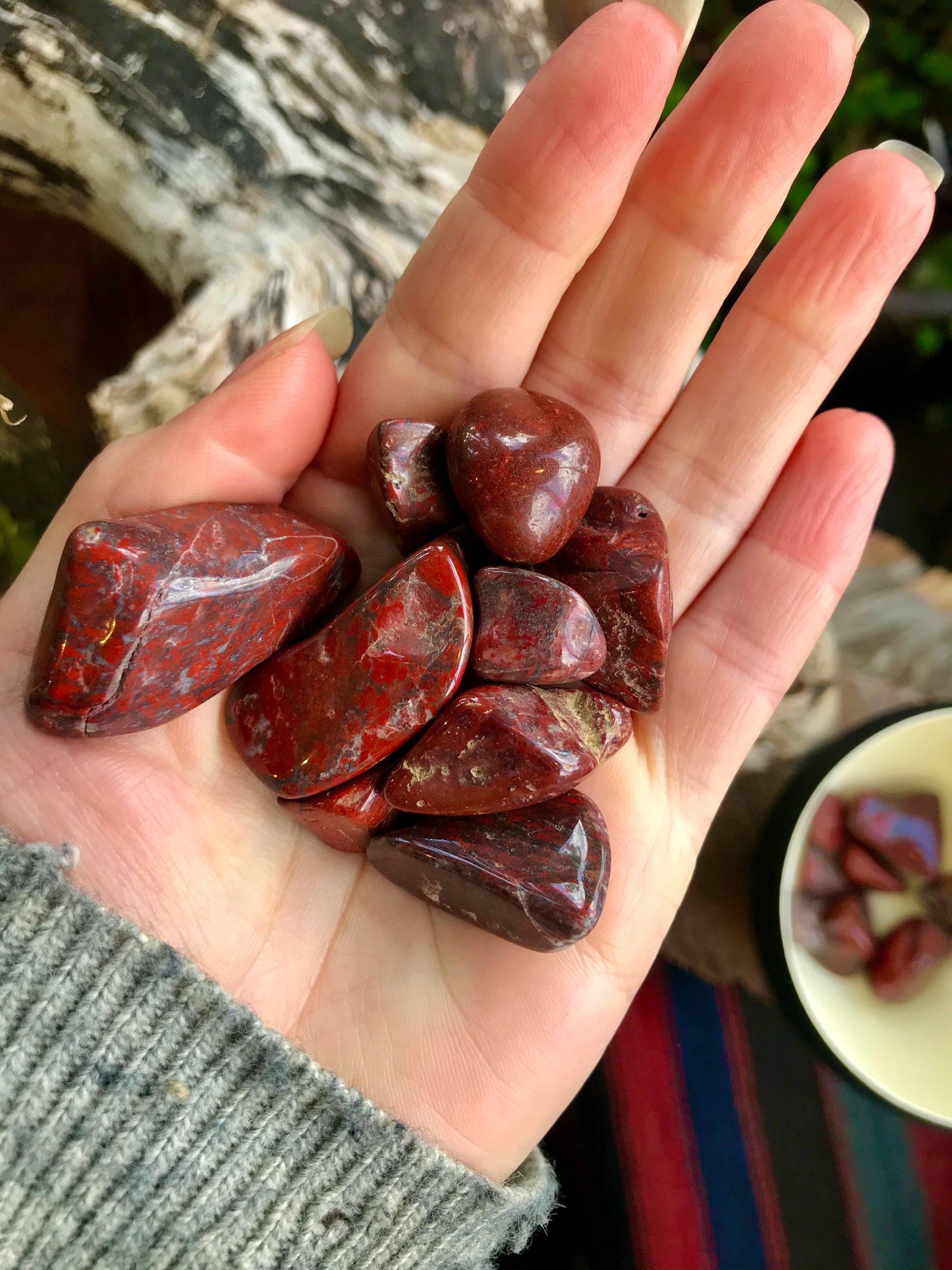 Polished Brecciated, Red Oregon Jasper - The Leafy Branch