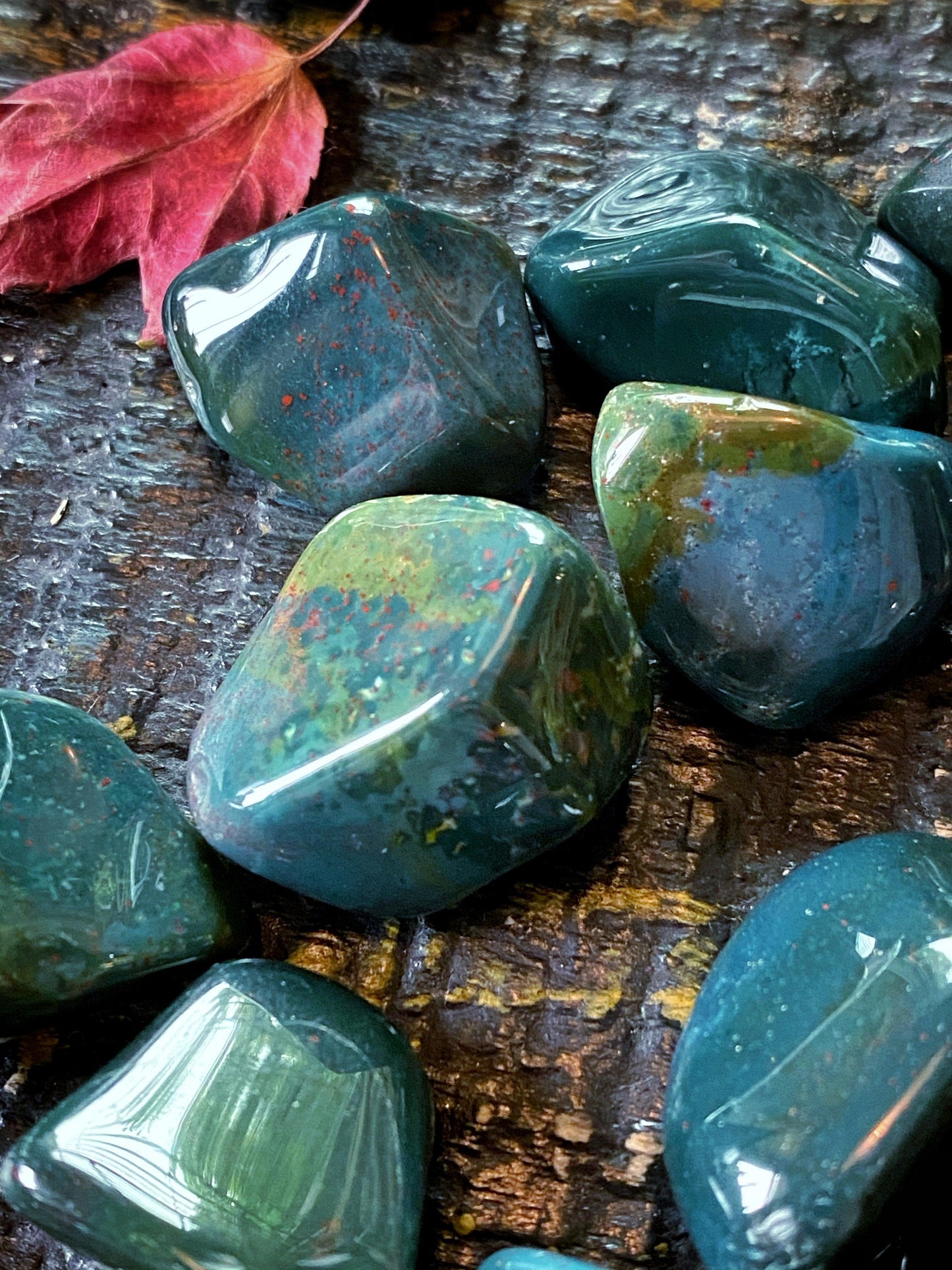 Tumbled Bloodstone - The Leafy Branch