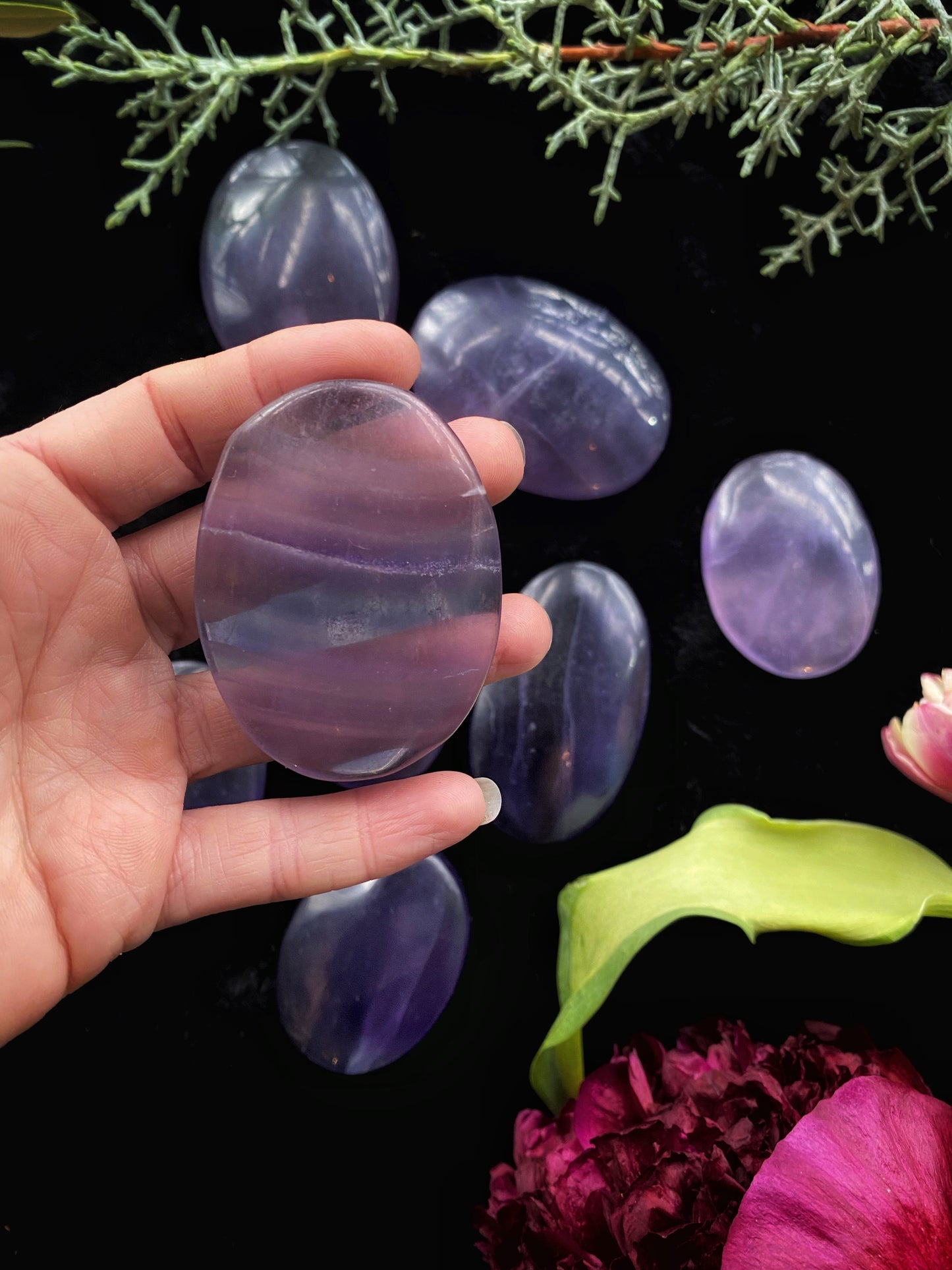 Purple Fluorite Palm Stone - The Leafy Branch