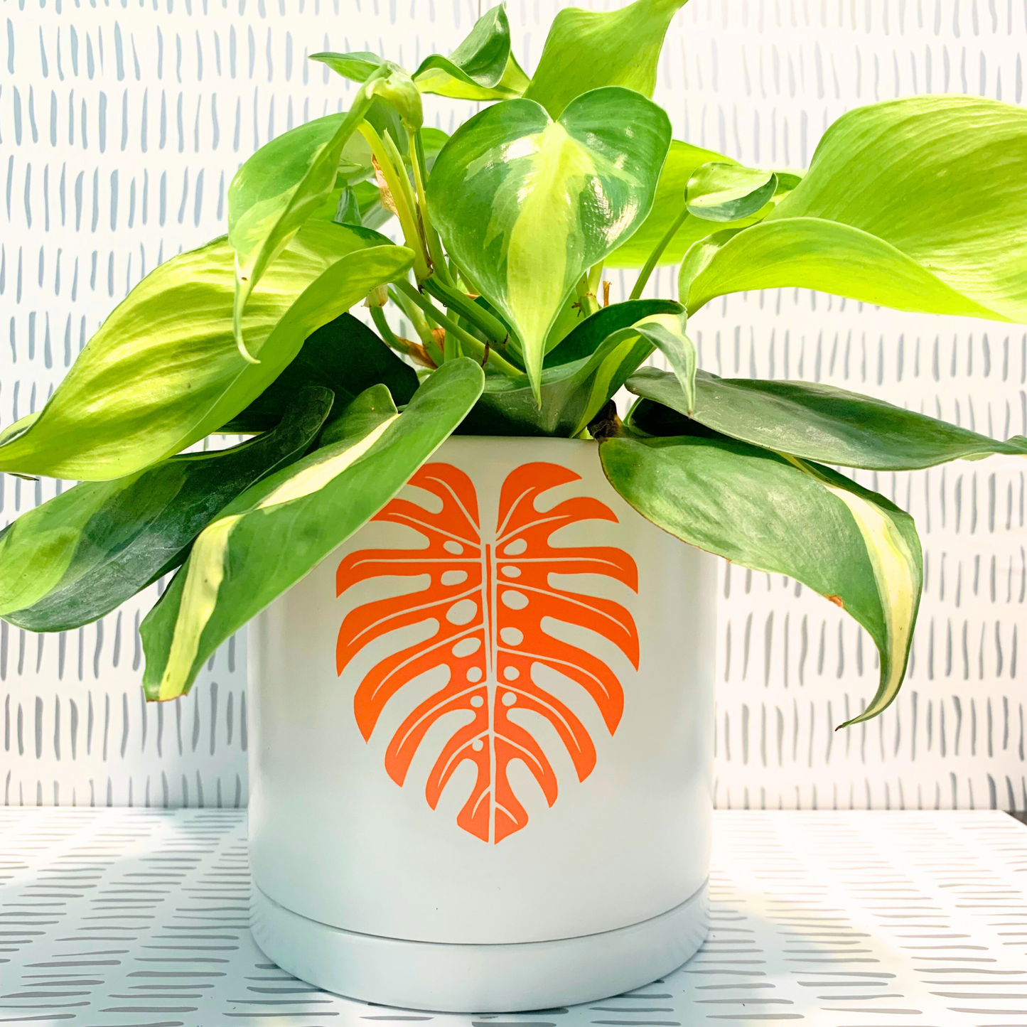 Signature Ceramic Monstera Planter- Orange