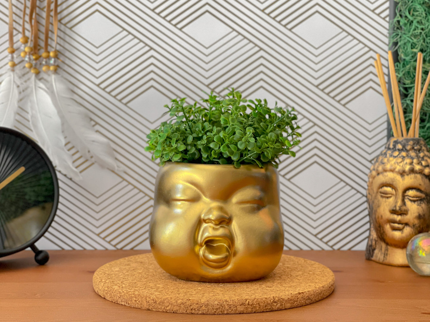 Baby Face Succulent Planter - The Leafy Branch