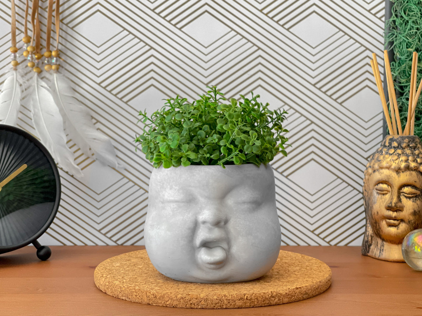 Baby Face Succulent Planter - The Leafy Branch
