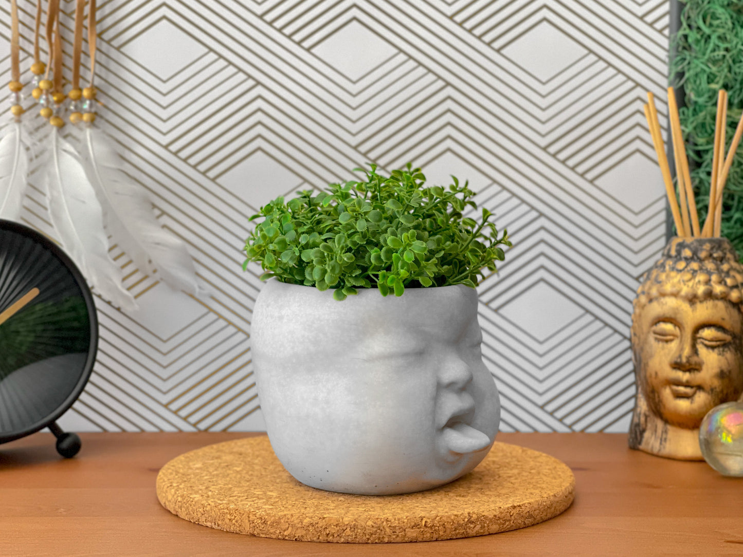 Baby Face Succulent Planter - The Leafy Branch