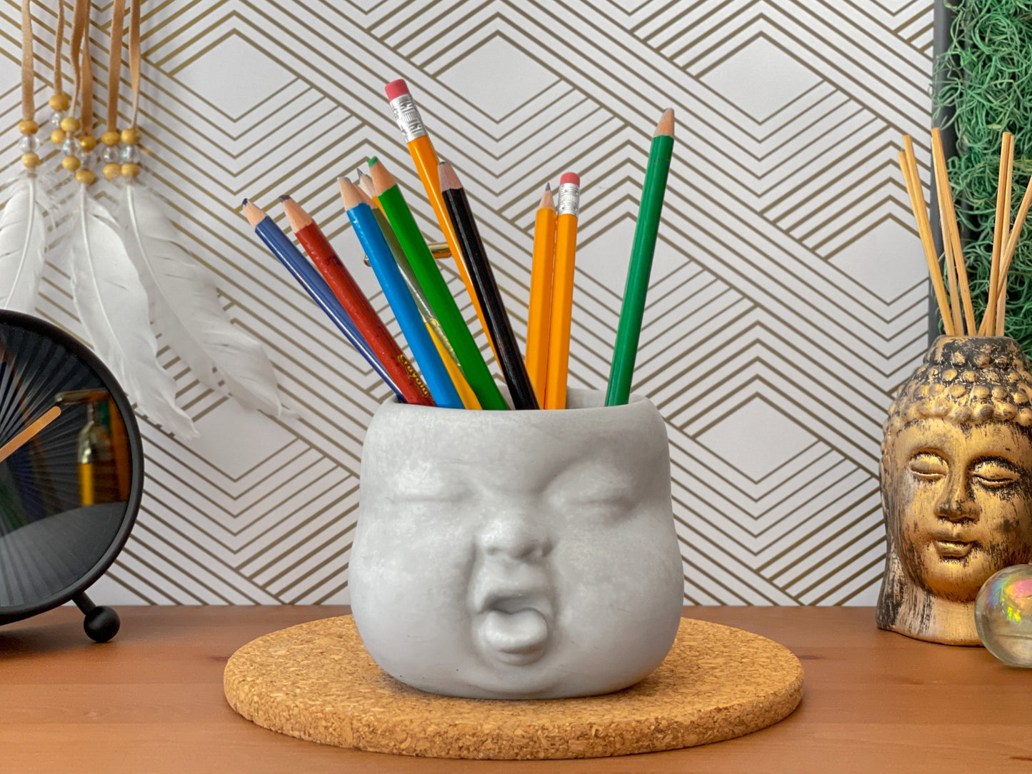 Baby Face Succulent Planter - The Leafy Branch