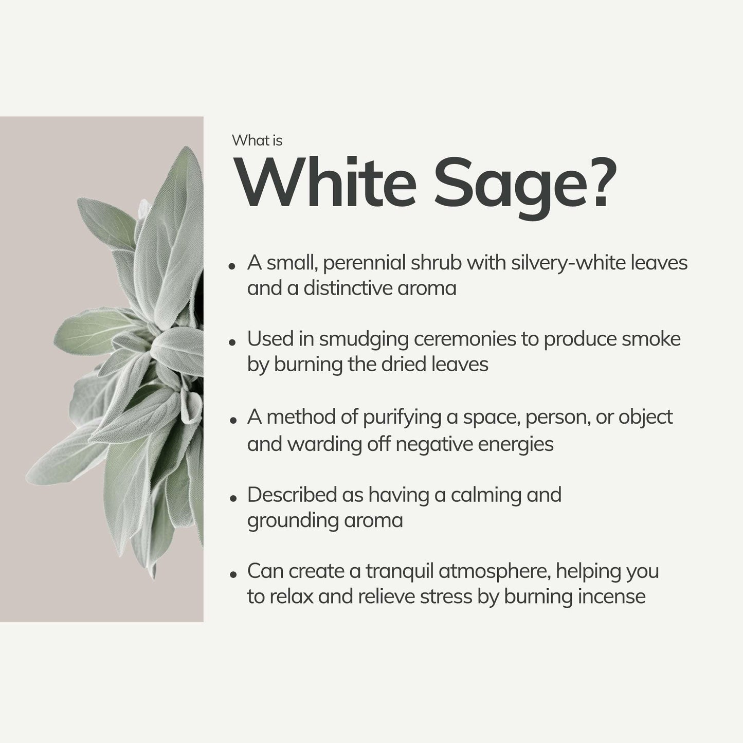 Organic White Sage Smudge Stick - Mini