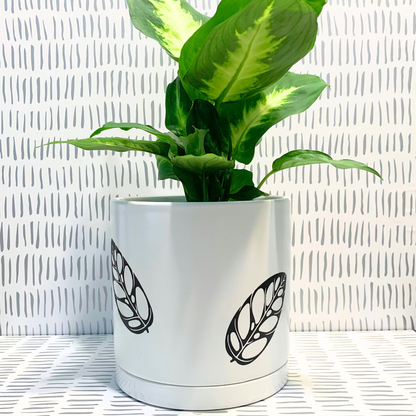 Signature Ceramic Monstera Adansonii Planter- White