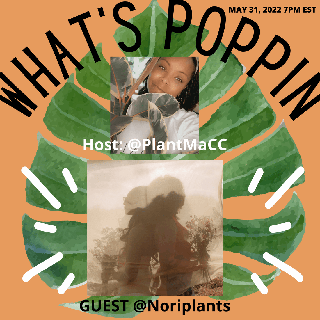 WHAT'S POPPIN- EPISODE 14 - The Leafy Branch