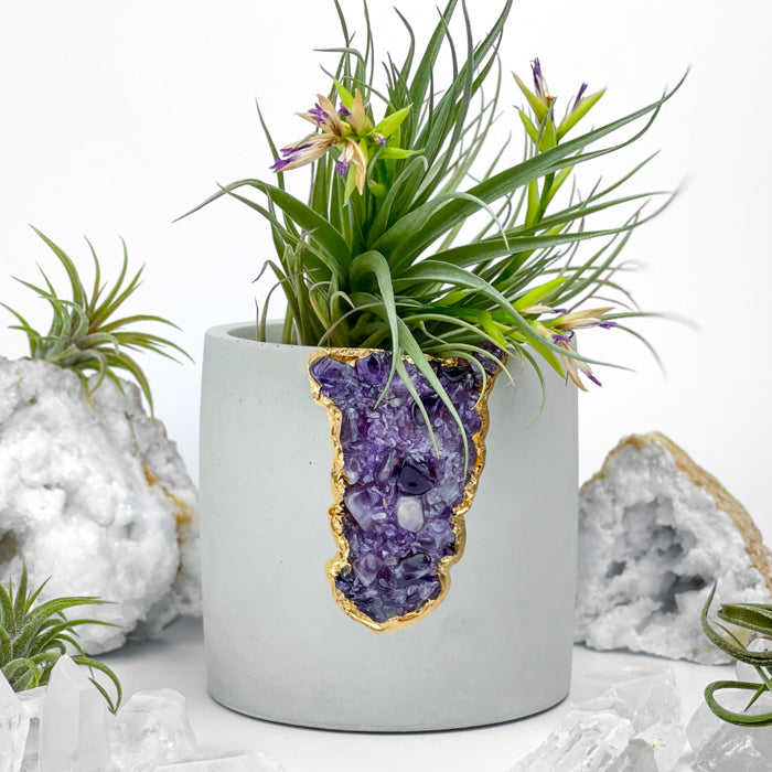 AMETHYST AURA PLANTER - 4in