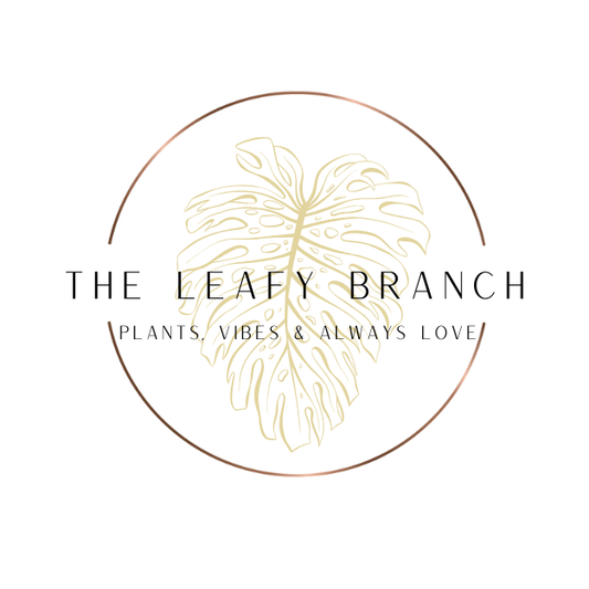 The Leafy Branch E-Gift Card
