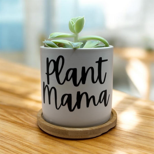 Plant Mama Ceramic 3in Pots